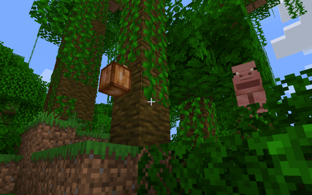 A cocoa bean pod on a jungle tree in to learn how to grow cocoa beans in Minecraft.