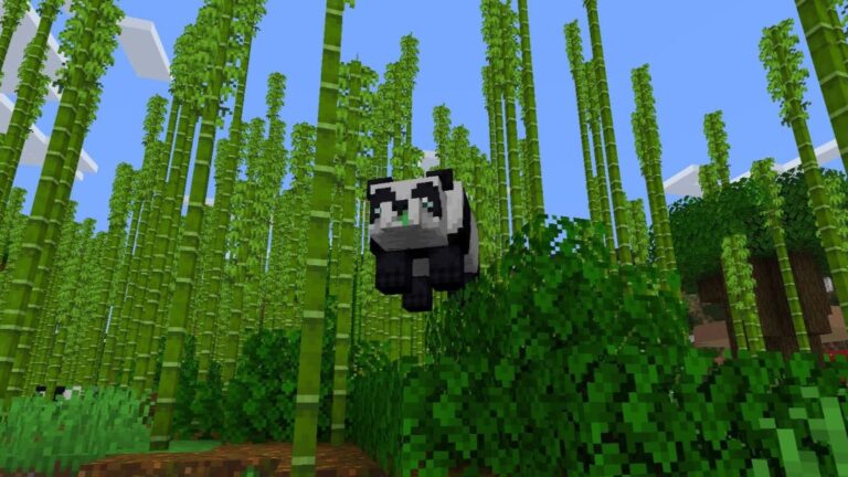 Tame a Panda in Minecraft Featured