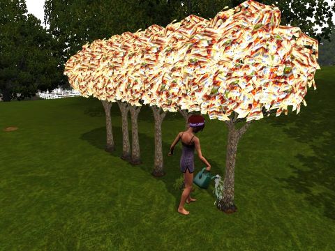 Sims 3 money trees.