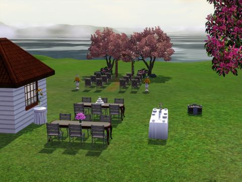 How to have a wedding on your own lot in Sims 3.
