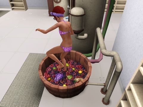 Making nectar in Sims 3